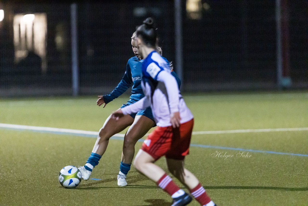 Bild 416 - F SC Alstertal-Langenhorn - Hamburger SV 3 : Ergebnis: 2:2